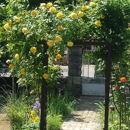Sigmund Villa *
